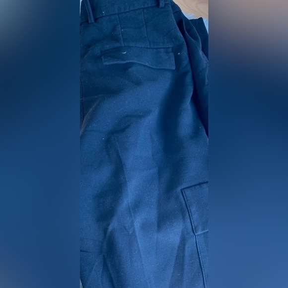 Aritzia Babaton Spotlight Cargo Pant - Picture 10 of 10